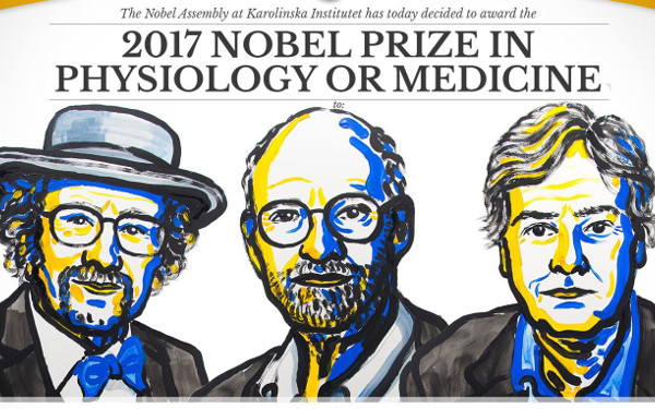 Premio Nobel de Medicina 2017