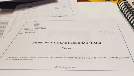 Fue aprobado en la cámara de Senadores el Proyecto de Ley Integral para Personas Trans.