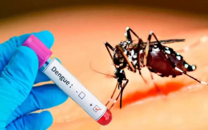Guía para el abordaje de dengue en el Primer Nivel de Atención